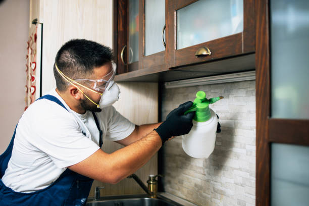 Best Bed Bug Extermination  in Rohnert Park, CA