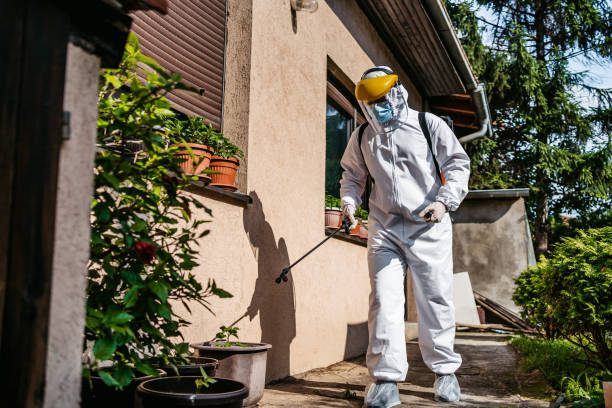 Best Affordable Pest Control Services  in Rohnert Park, CA
