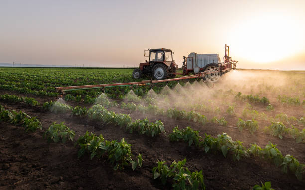 Best Mosquito Control Services  in Rohnert Park, CA