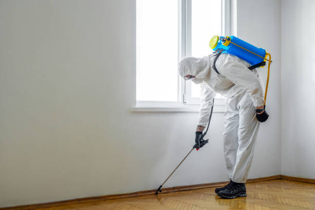 Trusted Rohnert Park, CA Pest Control Experts