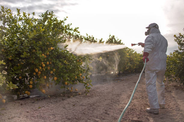 Best Commercial Pest Control Services  in Rohnert Park, CA