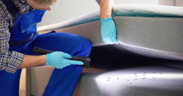 Best Pest Inspection Near Me  in Rohnert Park, CA