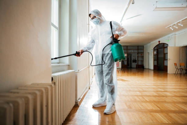 Best Local Pest Control Services  in Rohnert Park, CA