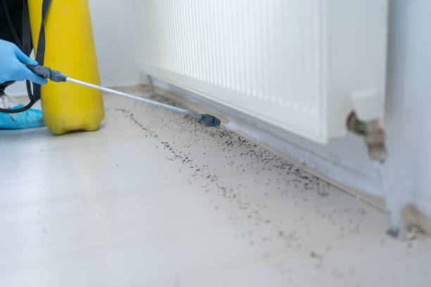 Best Pest Prevention Services  in Rohnert Park, CA